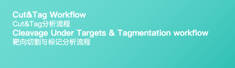 Cut&Tag Logo